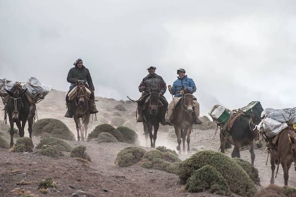 Grajales Expeditions - Base Camp & Gauchos