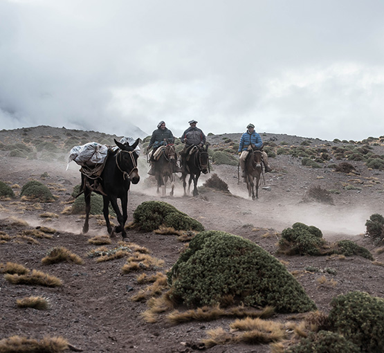 Base Camp Aconcagua Trek