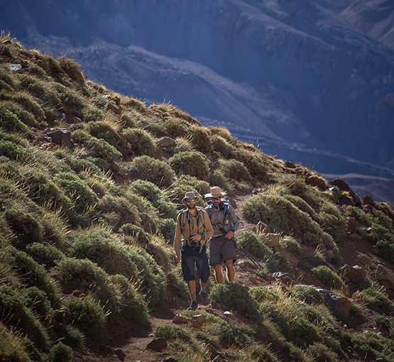 South face trek Aconcagua
