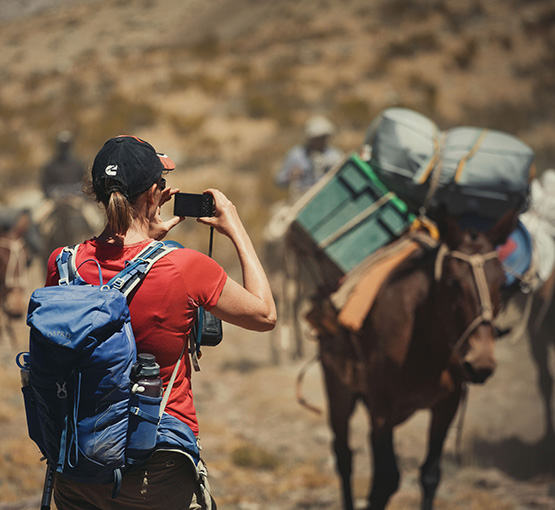 TREKKING ACONCAGUA